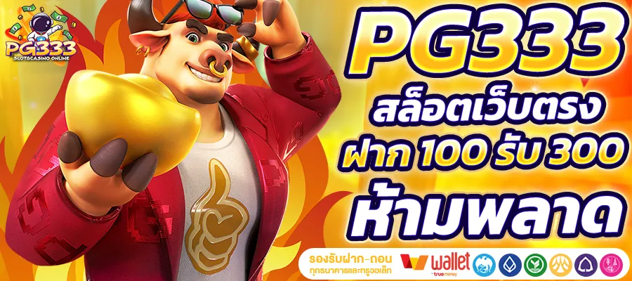 pg333 wallet 3